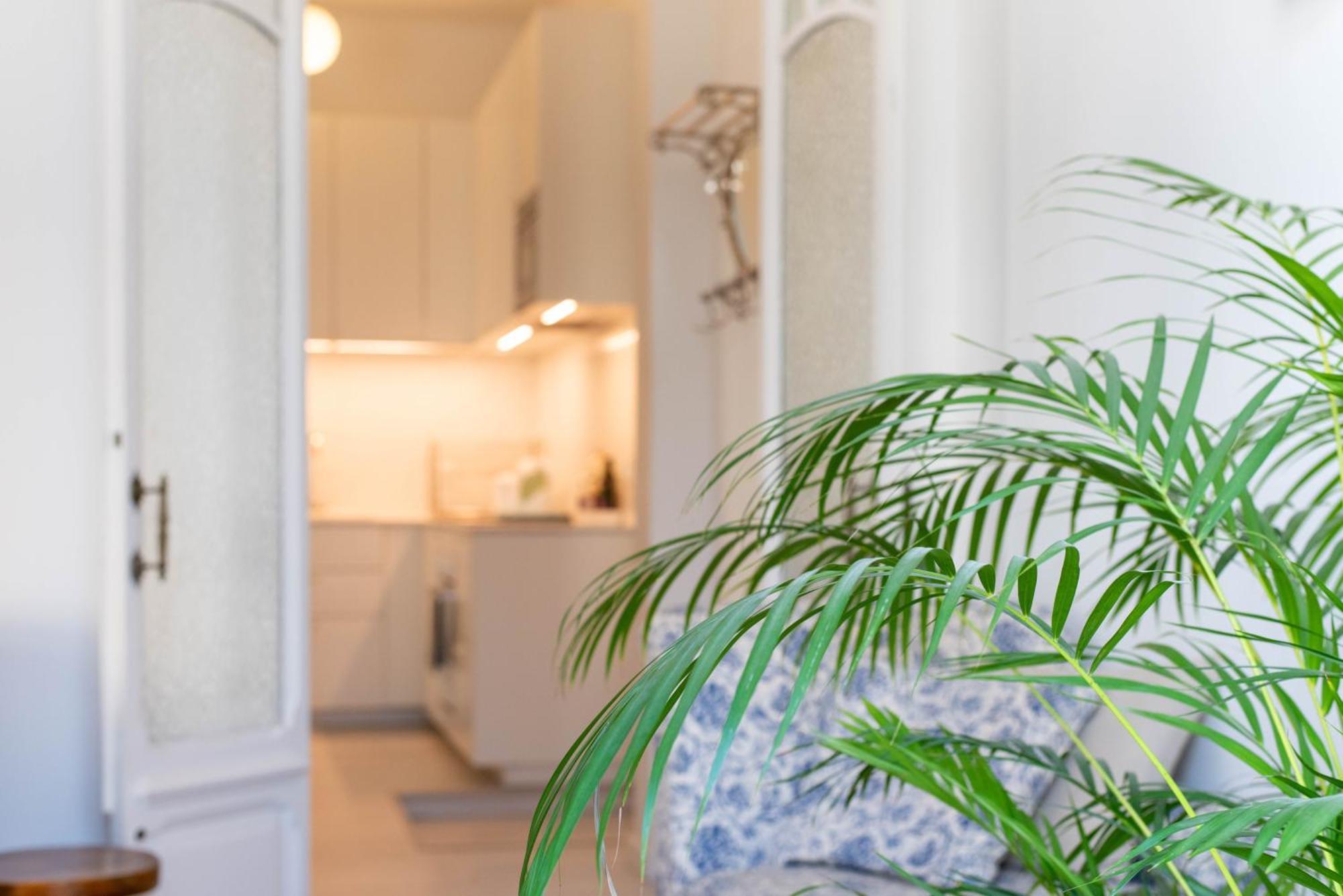Sao Paulo Square-historic Centre Apartment Lissabon